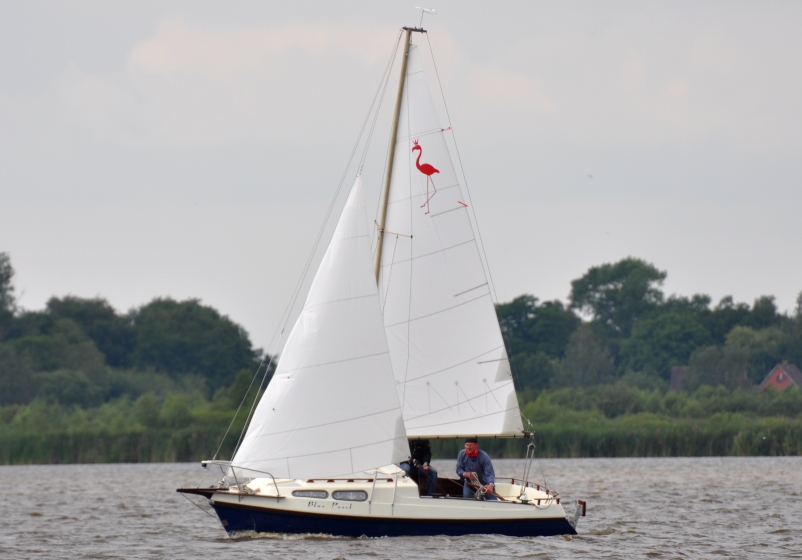 DSC_0113.JPG