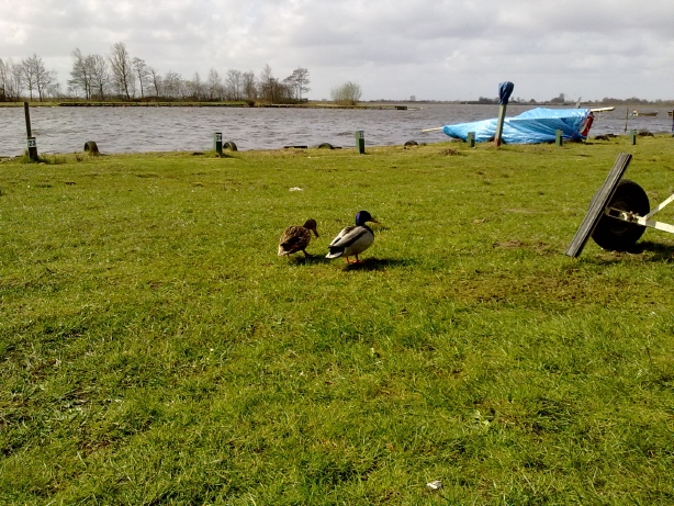 31032012287.jpg