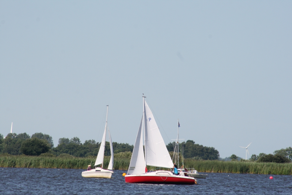 IMG_8351.JPG