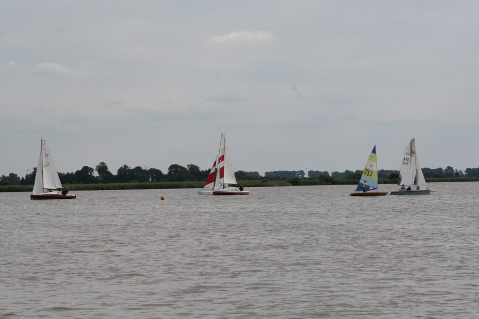 IMG_7998.JPG