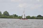 DSC_0455.JPG
