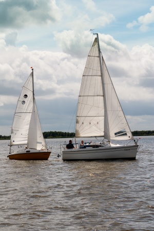 IMG_8088.jpg