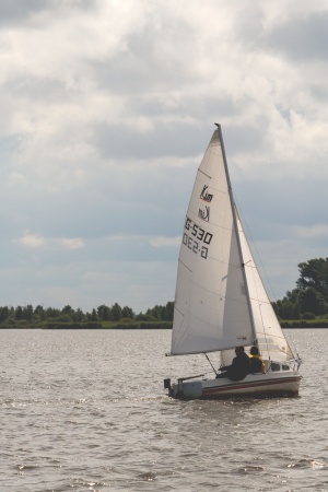 IMG_8254b.jpg