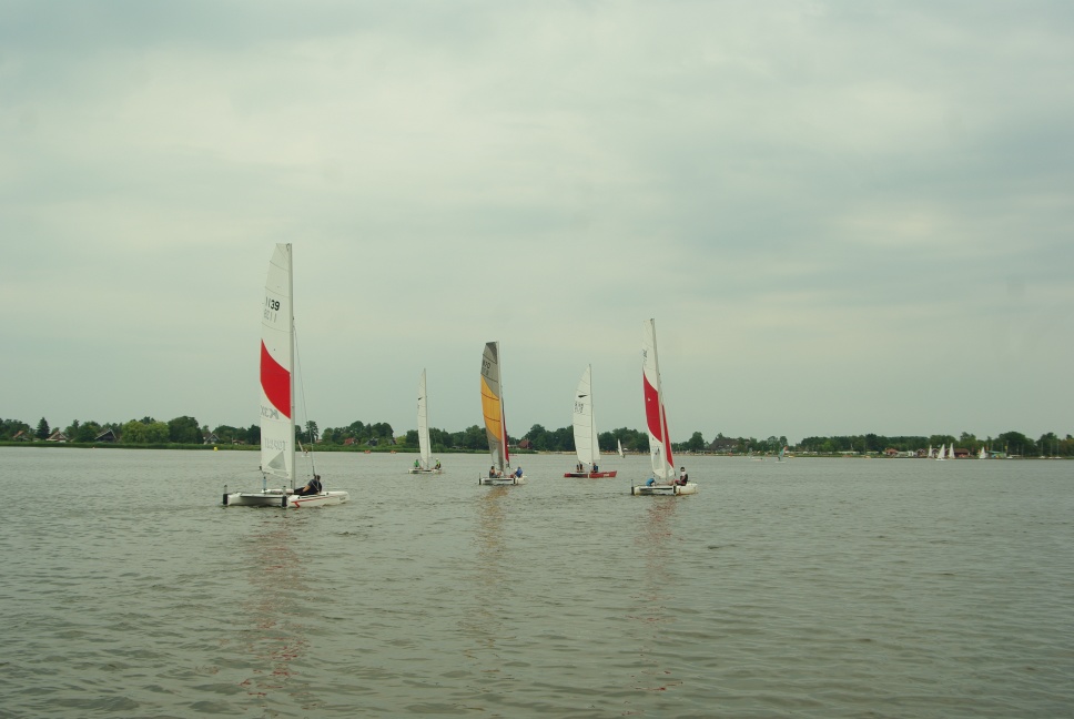 IMGP8195.JPG