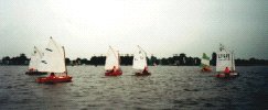 OPTI-Regatta